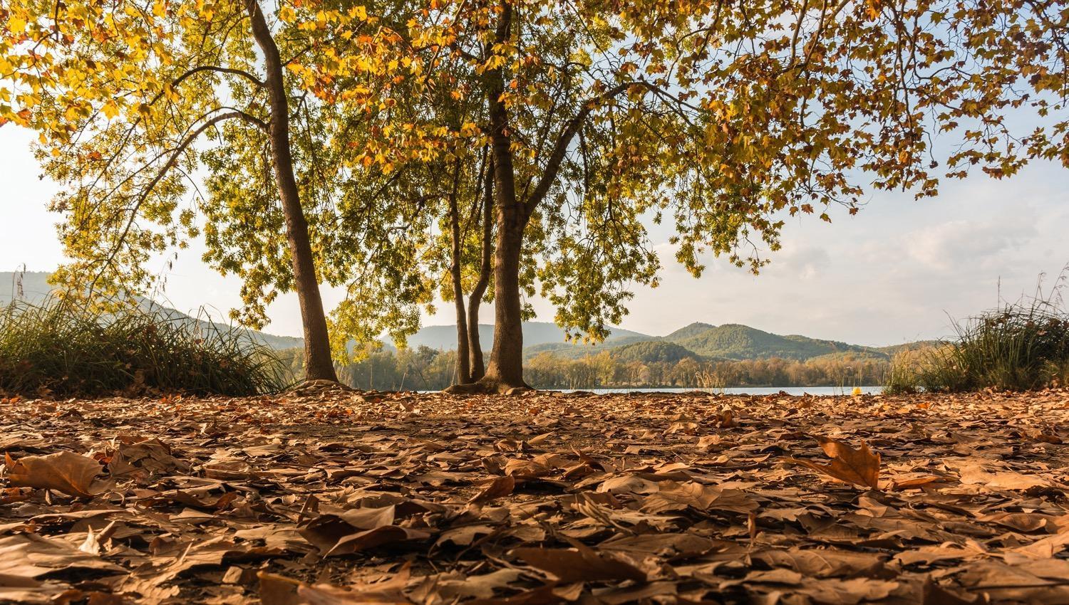 Camping Bungalow El Llac De Banyoles Porqueres Buitenkant foto